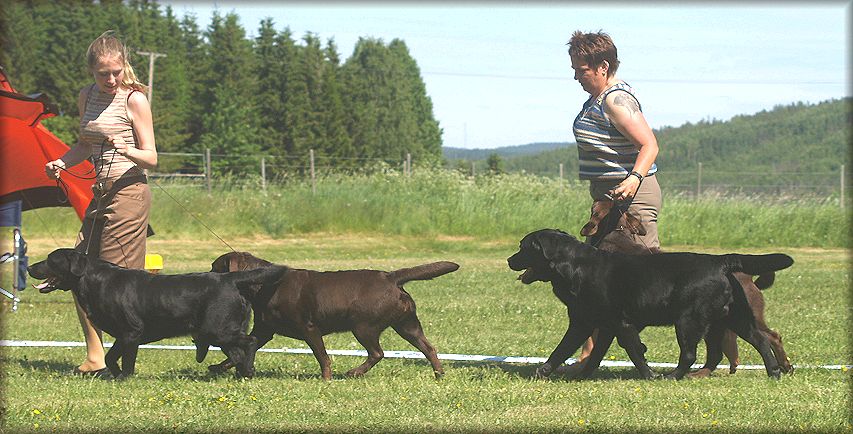 Winning breedersgroup